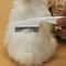 Precision Grooming FineToothed Flea Comb 1