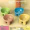 Modern Orthopedic Elevated Pet Feeder 0