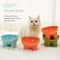 Modern Orthopedic Elevated Pet Feeder 1