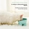Modern Orthopedic Elevated Pet Feeder 3
