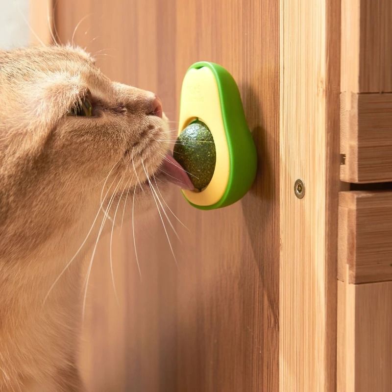Herbavore Interactive Catnip Wall Roller 1