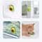 Herbavore Interactive Catnip Wall Roller 3