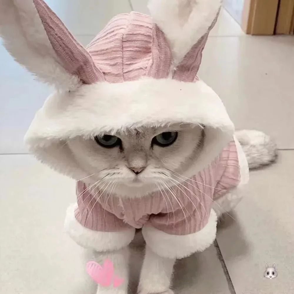 UltraSoft Cozy Autumn Winter Pet Sweater 0