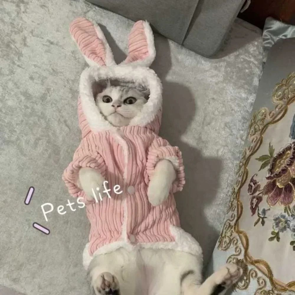 UltraSoft Cozy Autumn Winter Pet Sweater 4