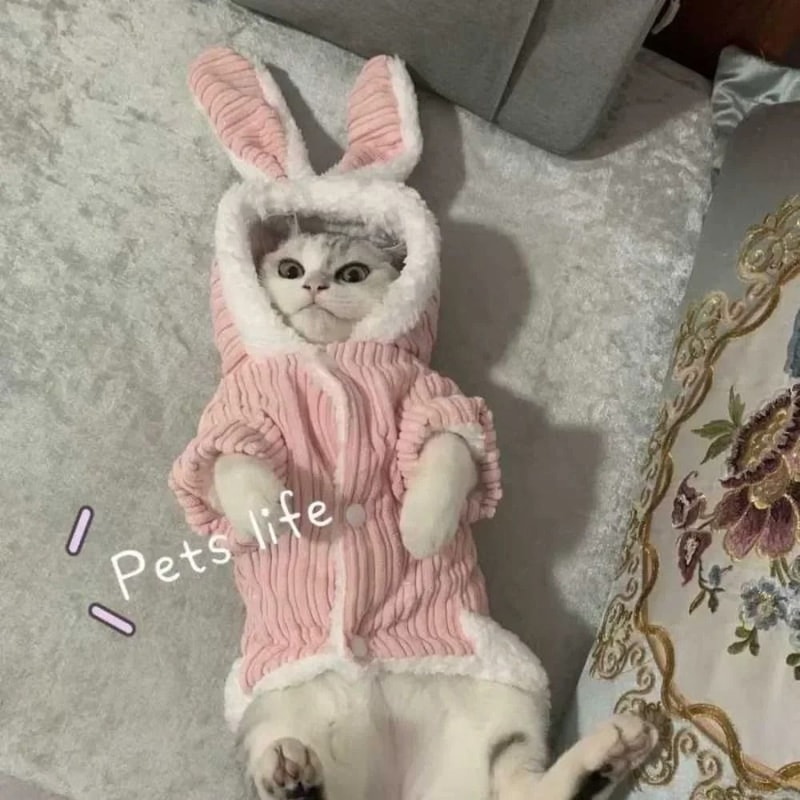UltraSoft Cozy Autumn Winter Pet Sweater 4