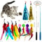 Telescopic Fishing Rod Cat Teaser 12Piece Variety Set 1