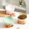 Gradient Ergonomic Slanted Ceramic Pet Bowl 0