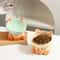 Gradient Ergonomic Slanted Ceramic Pet Bowl 2