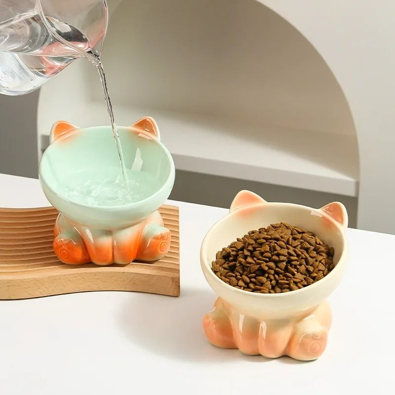 Gradient Ergonomic Slanted Ceramic Pet Bowl 2