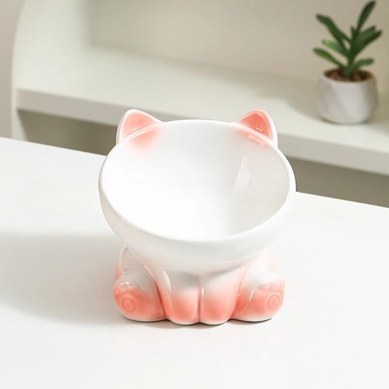 Gradient Ergonomic Slanted Ceramic Pet Bowl 6