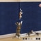 CustomFit SelfAdhesive Cat Scratching Mat 11