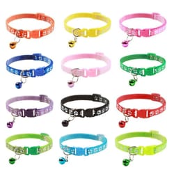 vibrant patterned safety bell pet collar