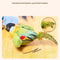 Interactive Hanging Bird Teaser With Squeaky Catnip 6
