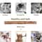 Natural Silvervine Catnip Dental Chew Sticks 3