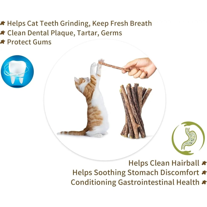 Natural Silvervine Catnip Dental Chew Sticks 5