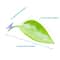 Simulated Reptile Basking Leaf Resting Terrace 2