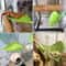 Simulated Reptile Basking Leaf Resting Terrace 5