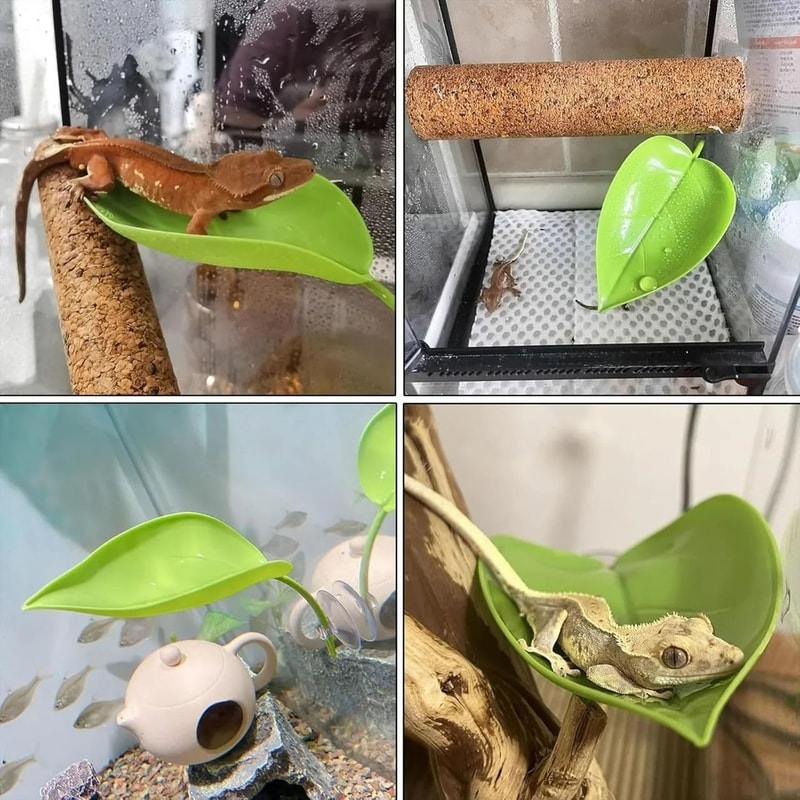 Simulated Reptile Basking Leaf Resting Terrace 5