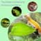 Simulated Reptile Basking Leaf Resting Terrace 6
