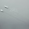Veterinary Grade Sterile Cat Catheters With Stylet 5