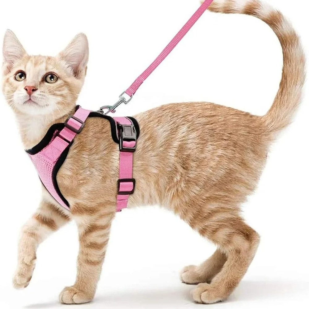 EscapeProof Soft Mesh Cat Harness Leash Set 3