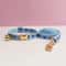Premium Adjustable Metal Hardware Cat Collar Leash Set 6