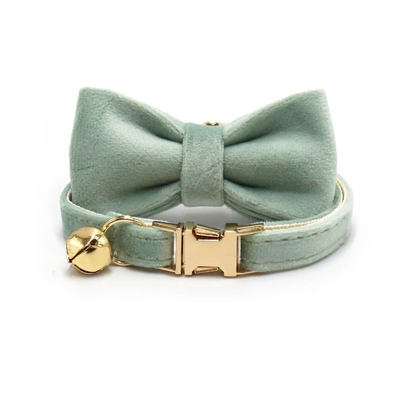 Luxury Personalized Velvet Cat Collar With Custom ID Tag 18