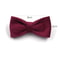 Luxury Personalized Velvet Cat Collar With Custom ID Tag 5