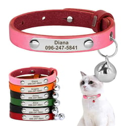 personalized safety cat collar with engraved id nameplate