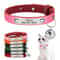 Personalized Safety Cat Collar With Engraved ID Nameplate 0