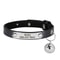 Personalized Safety Cat Collar With Engraved ID Nameplate 11