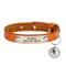 Personalized Safety Cat Collar With Engraved ID Nameplate 13