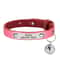 Personalized Safety Cat Collar With Engraved ID Nameplate 14