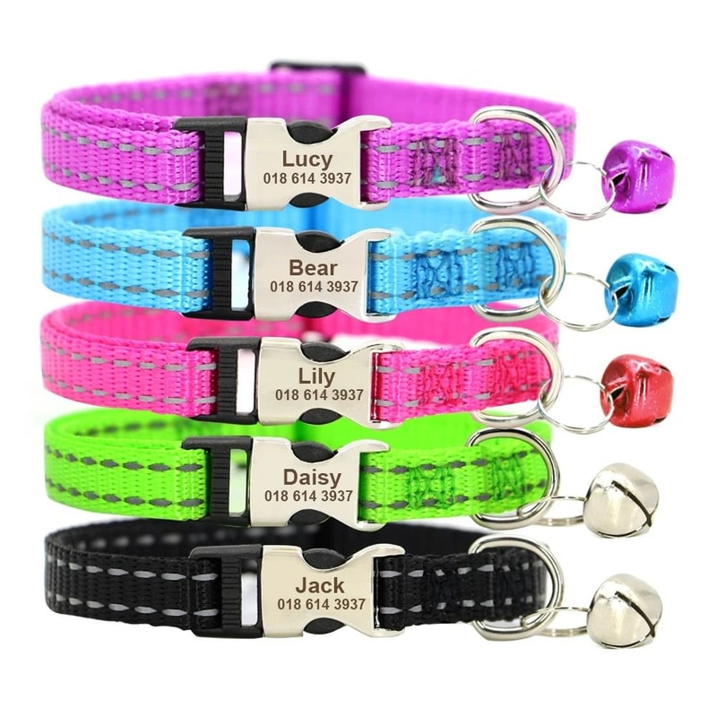 Personalized Safety Cat Collar With Engraved ID Nameplate 1
