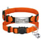 Personalized Safety Cat Collar With Engraved ID Nameplate 4
