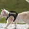 Tactical EscapeProof Cat Harness And Leash Set 1