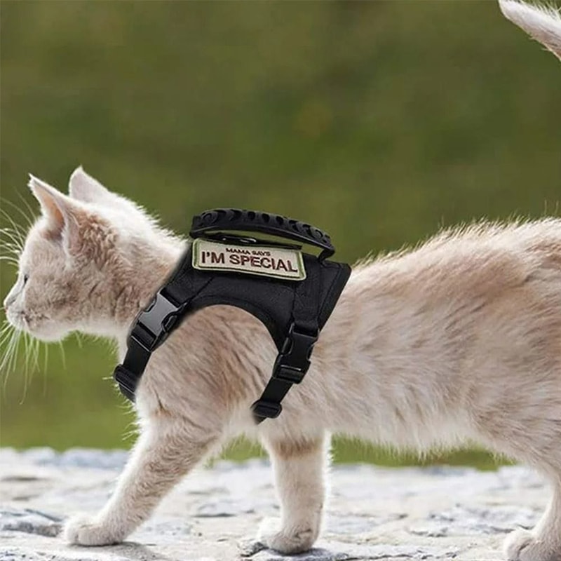 Tactical EscapeProof Cat Harness And Leash Set 1