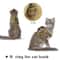 Elite Tactical EscapeProof Cat Harness And Leash Set 3