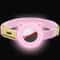 New Breakaway AirTag Tracker Cat Collar With Custom ID 19