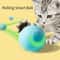 Smart SelfMoving Interactive Rolling Ball 1