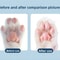 Professional LED Precision Pet Grooming Trimmer 5