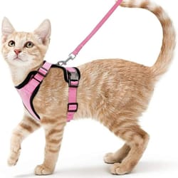 soft mesh escape-proof cat harness & leash set
