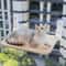 Foldable DualPurpose Cat Window Hammock 0