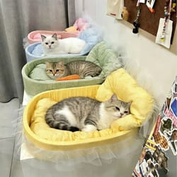 lace-trimmed pet princess sofa bed
