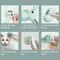 3in1 Pet Steam Massage Deshedding Brush 5