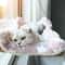 HeavyDuty Oxford Window Cat Hammock 1