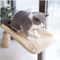HeavyDuty Oxford Window Cat Hammock 3