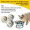 Ceramic AntiWhisker Fatigue Shallow Cat Bowl Set 3
