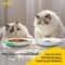 Ceramic AntiWhisker Fatigue Shallow Cat Bowl Set 4