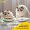 Ceramic AntiWhisker Fatigue Shallow Cat Bowl Set 4